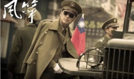 好看的电视剧谍战剧,风起谍影